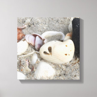 Hart in een het canvasdruk van Shell 12x12 omlijst Canvas Afdruk