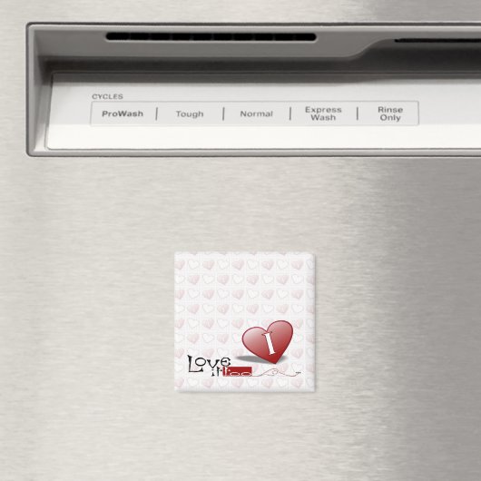 hart magneet (Insitu (Vaatwasser))