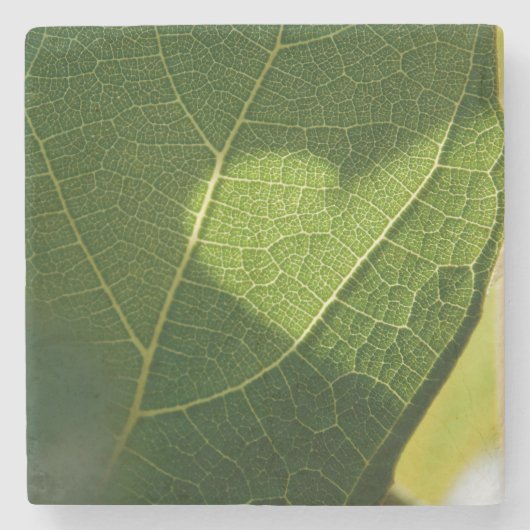 Hart op een Zonneverlichte Blad Onderzetter (Voorkant)