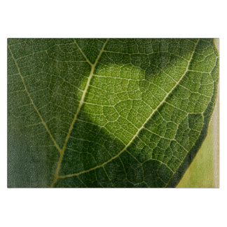 Hart op een zonovergoten blad glazen dienblad snijplank