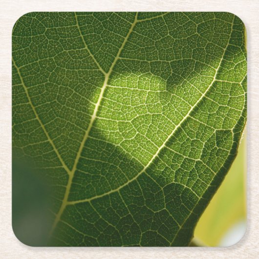Hart op een zonovergoten blad onderzetter (Voorkant)