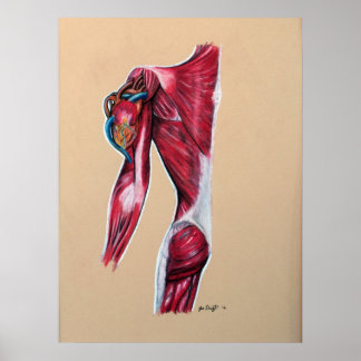 Hart op Sleeve Poster