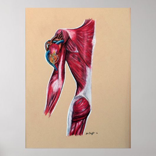 Hart op Sleeve Poster (Voorkant)