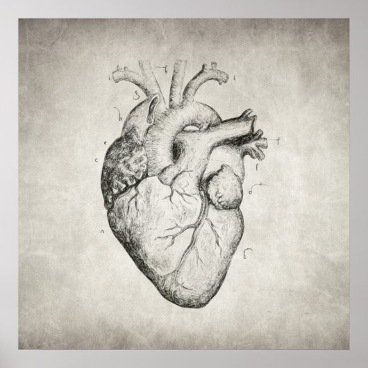 hart poster (Voorkant)