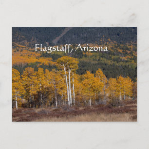 Hart Prairie Flagstaff, Arizona Briefkaart