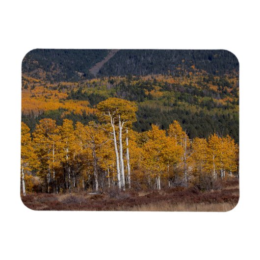 Hart Prairie Magneet (Horizontaal)