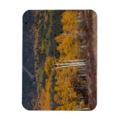 Hart Prairie Magneet (Verticaal)