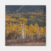 Hart Prairie Magneet (Voorkant)
