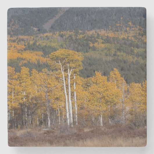 Hart Prairie Stenen Onderzetter (Voorkant)