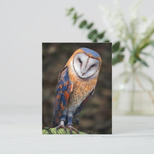 Hart-Shaped Face Barn Owl Briefkaart (Staand voorkant)