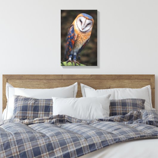 Hart-Shaped Face Barn Owl Canvas Afdruk (Insitu (Slaapkamer))