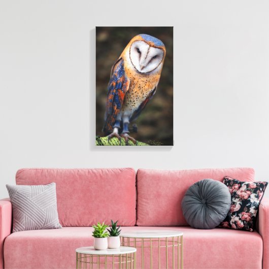 Hart-Shaped Face Barn Owl Canvas Afdruk (Insitu (Woonkamer))