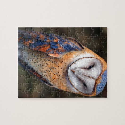 Hart-Shaped Face Barn Owl Legpuzzel (Horizontaal)