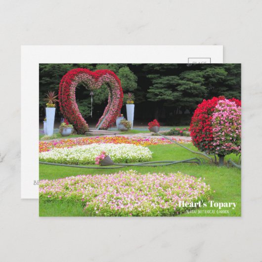 Hart Topary :Briefkaart Briefkaart (Voorkant / Achterkant)