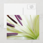 Hart van de Lily Fine Art Floral-fotografie Briefkaart (Voorkant / Achterkant)