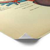  hart van de paardenanatomie afdrukken poster (Hoek)