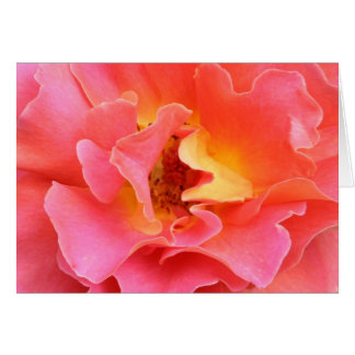 hart van de roos blanco kaart