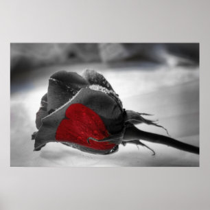 Hart van de zaak, Red Rose Heart Poster