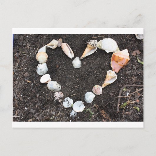 hart van de zeeschelpen briefkaart (Voorkant)