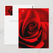 Hart van een Roos Briefkaart (Voorkant / Achterkant)