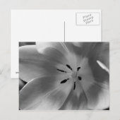 Hart van een Tulp in zwart-wit Briefkaart (Voorkant / Achterkant)