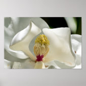 Hart van het Poster van de Zuidelijke Magnolia (Voorkant)