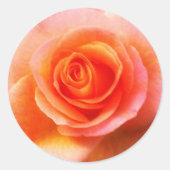 'Hart van het Roos' Sticker (Voorkant)