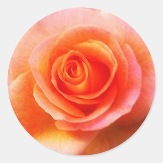 'Hart van het Roos' Sticker (Voorkant)