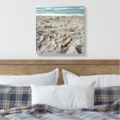 Hart van schelpen canvas afdruk (Insitu (Slaapkamer))