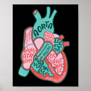 Hart Verpleegkundige Menselijk Hart Anatomie Cardi Poster