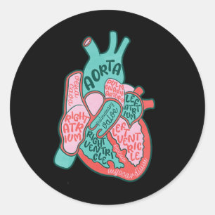 Hart Verpleegkundige Menselijk Hart Anatomie Cardi Ronde Sticker