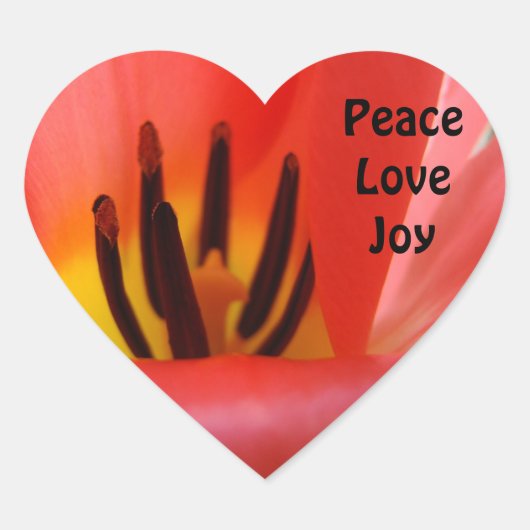 HART-vormige stickers Omhulling Afdichtingen rood (Voorkant)