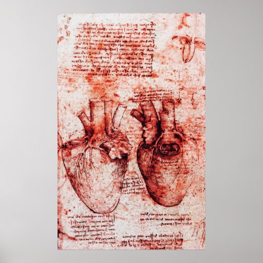 Hart, zijn bloedvaten, Leonardo da Vinci Red Poster (Voorkant)