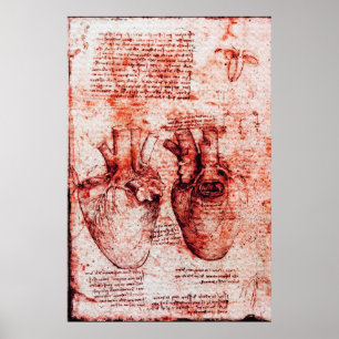 Hart, zijn bloedvaten, Leonardo da Vinci Red Poster