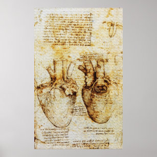 Hart, zijn bloedvaten, Leonardo da Vinci, Sepia Poster