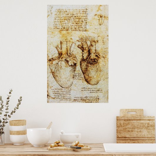 Hart, zijn bloedvaten, Leonardo da Vinci, Sepia Poster (Keuken)
