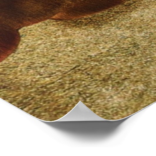 Hartaanval Poster (Hoek)