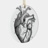hartanatomie | keramisch ornament (Rechts)