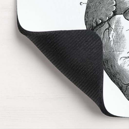  hartanatomie |  muismat (Hoek)