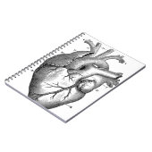  hartanatomie |  notitieboek (Linkerzijde)