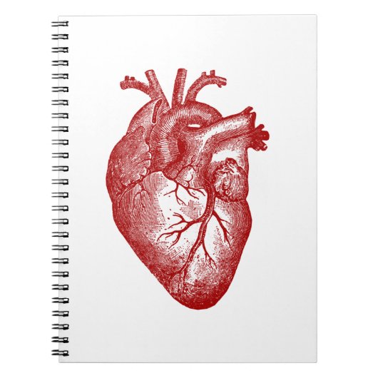  hartanatomie notitieboek (Voorkant)