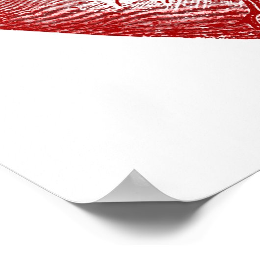  hartanatomie poster (Hoek)