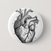 hartanatomie |  ronde button 5,7 cm (Voorkant)