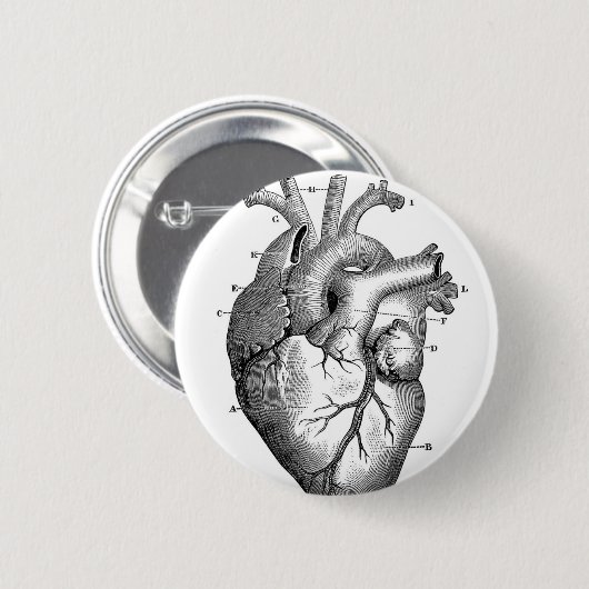hartanatomie | ronde button 5,7 cm (Voorkant /achterkant)
