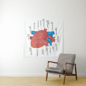 Hartanatomie Wandkleed (In Situ (horizontaal))