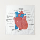 Hartanatomie Wandkleed (Voorkant)