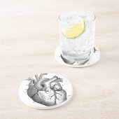 hartanatomie | zandsteen onderzetter (Zijkant)