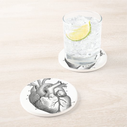  hartanatomie |  zandsteen onderzetter (Zijkant)