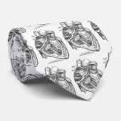 hartarts stropdas (Opgerold)