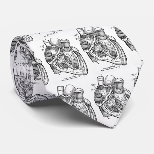 hartarts stropdas (Opgerold)